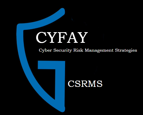 Cyber Security Risk Management